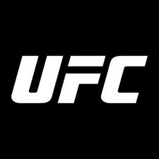 Ultimate Fighting Championship's cover photo